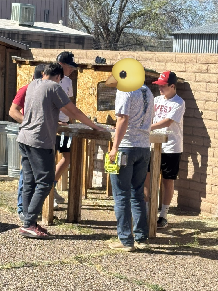 kids working on rabbit hutch