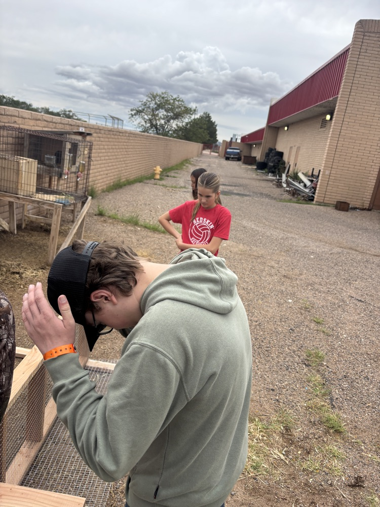 students working