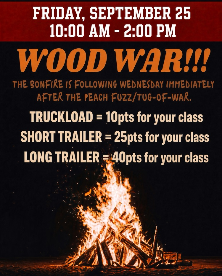 real wood war