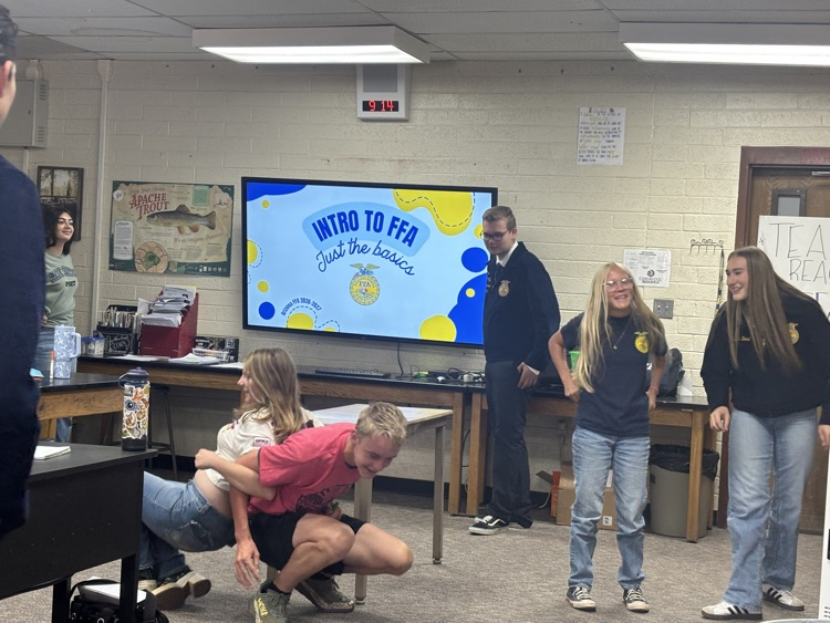 ffa state officers