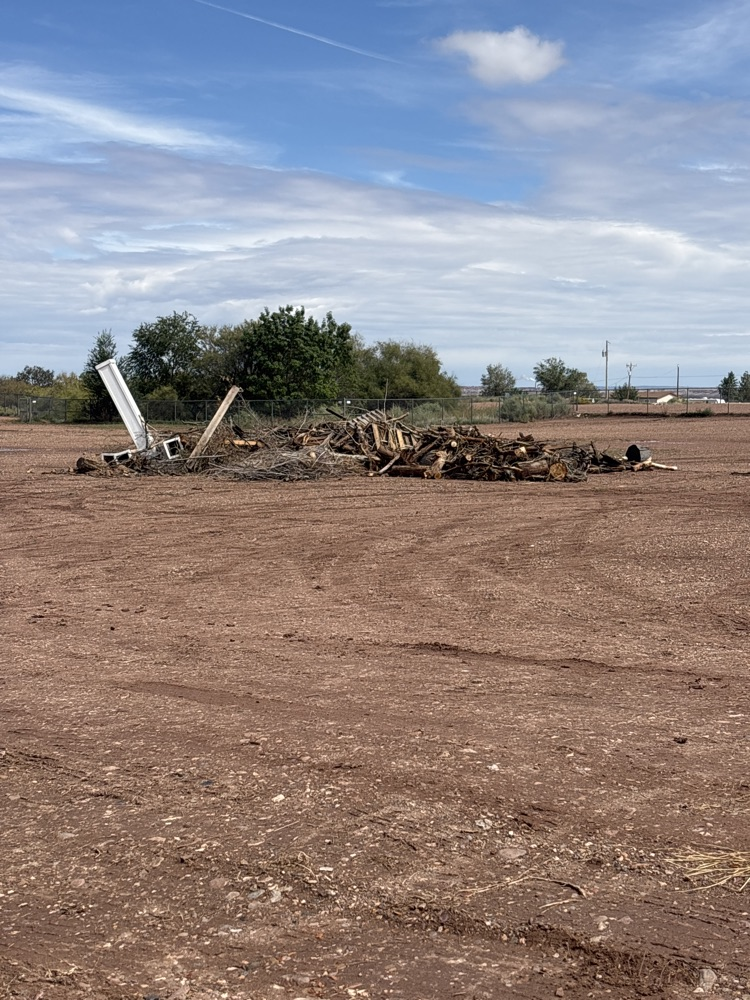 small pile of wood