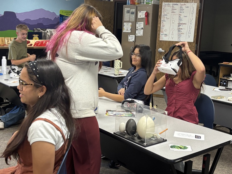 students with VR goggles