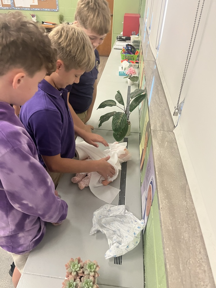 6th Grade Fun Project