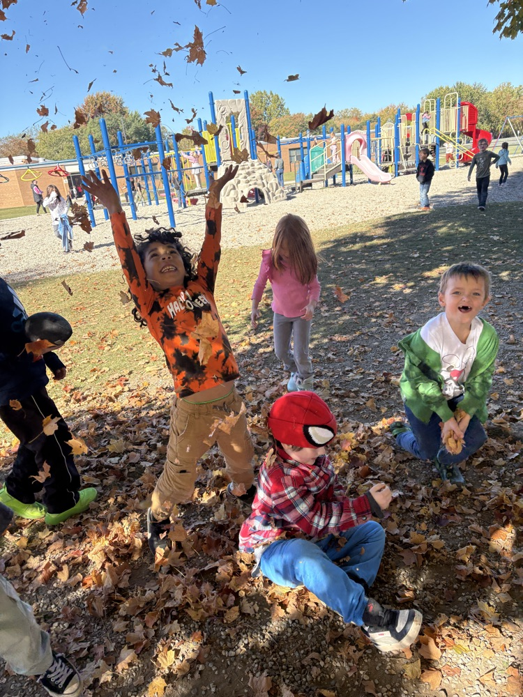 leaf pile