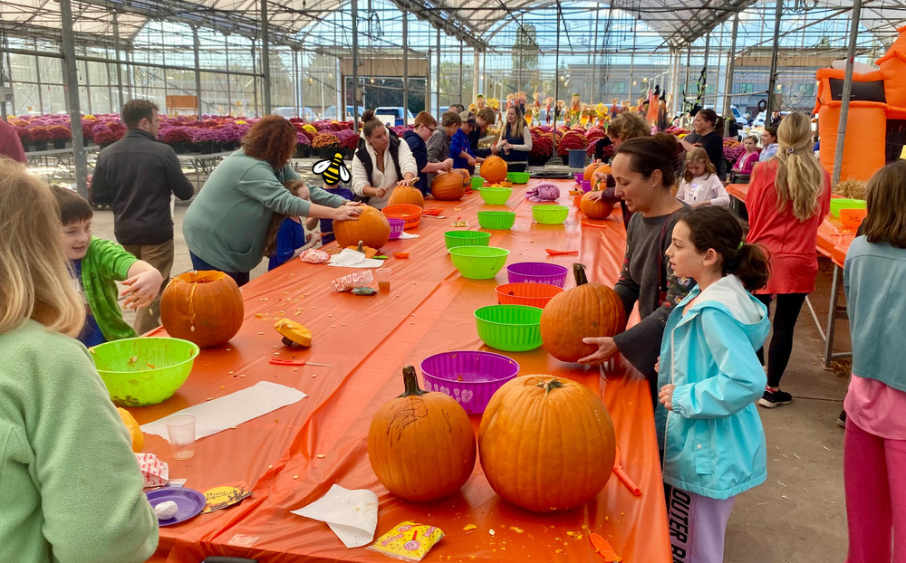 Pumpkin Carving Party