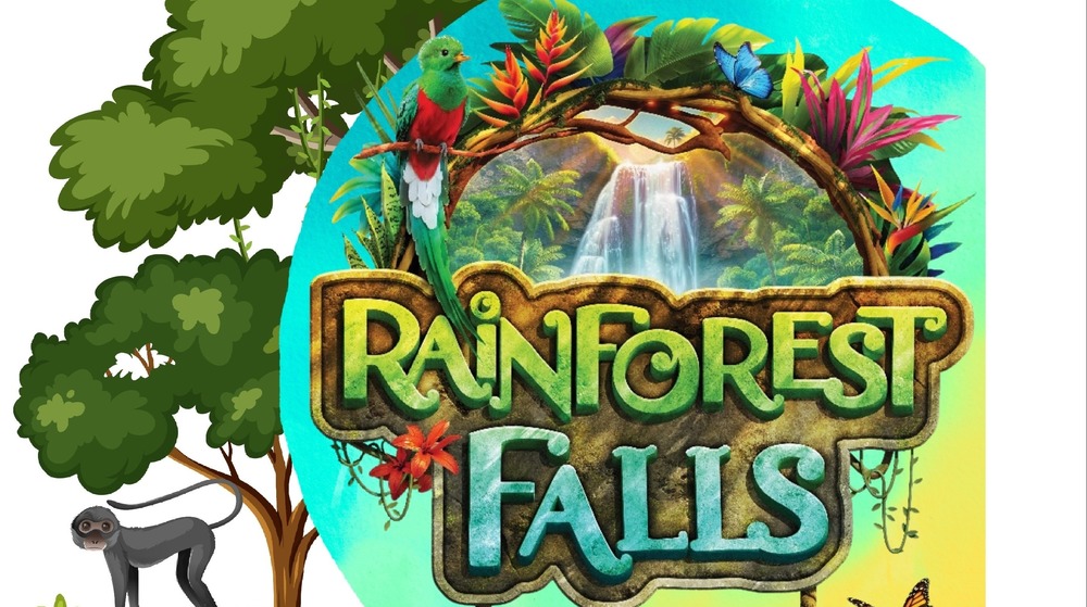 VBS Rainforest Falls