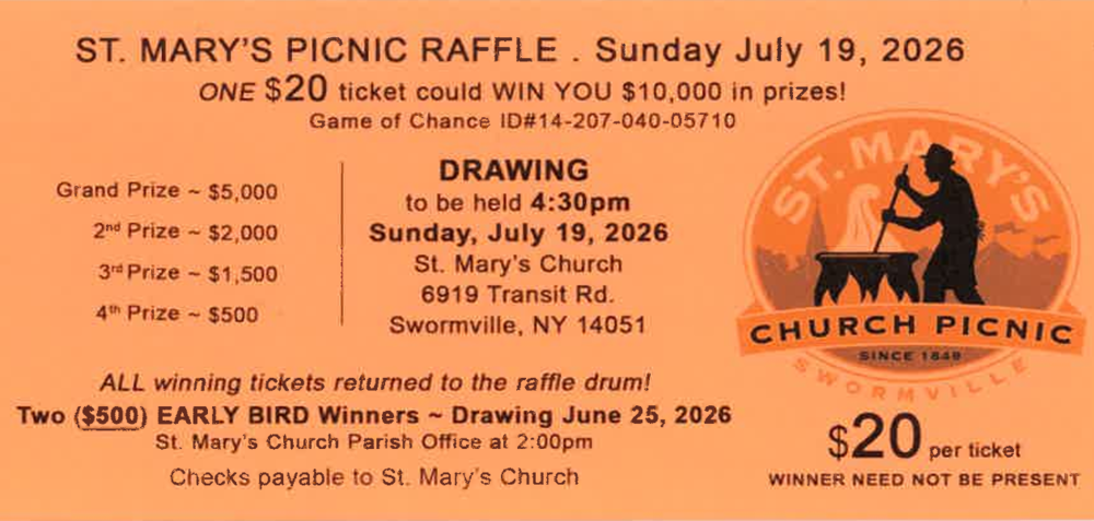 Picnic Raffle Ticket Information Stub