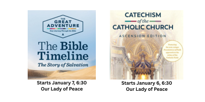 Studies begin in January at OLP