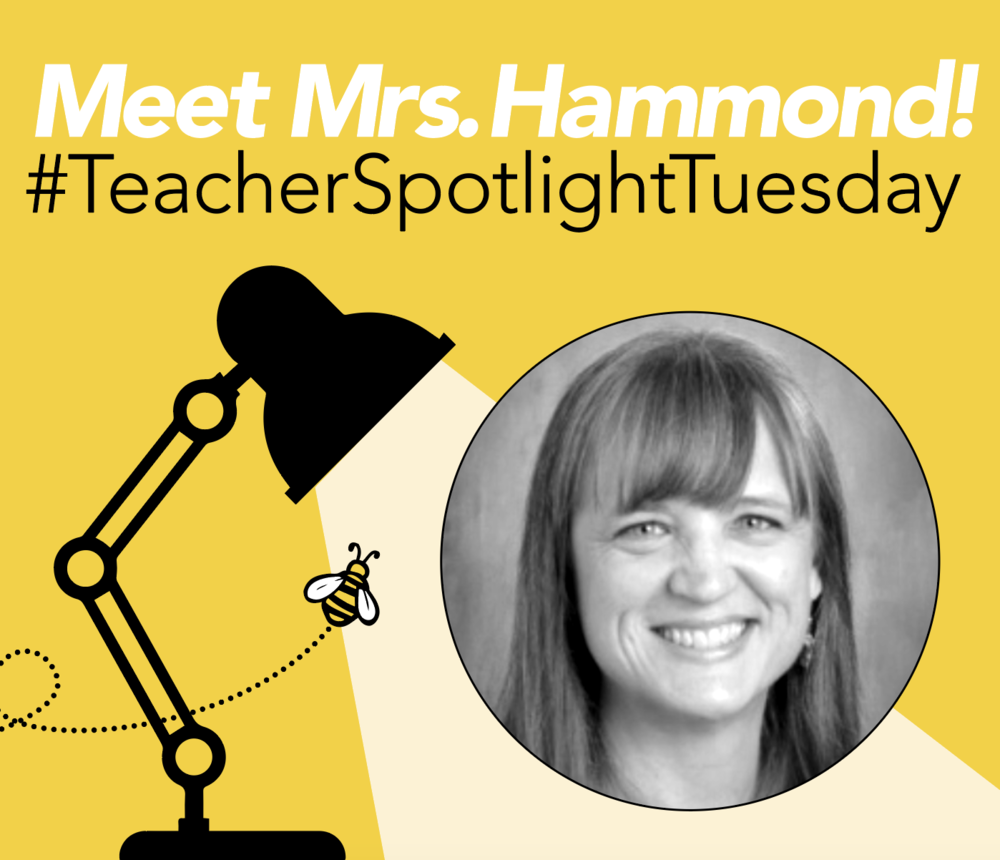 Mrs. Hammond Teacher Spotlight