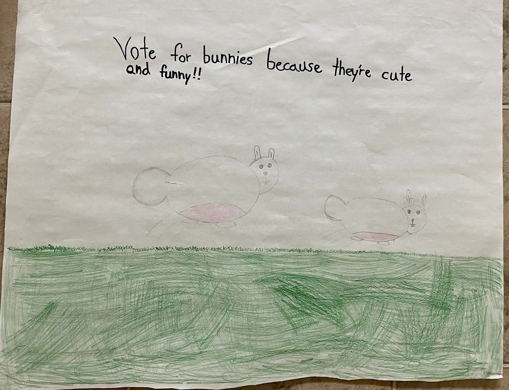 grade 4 class pet