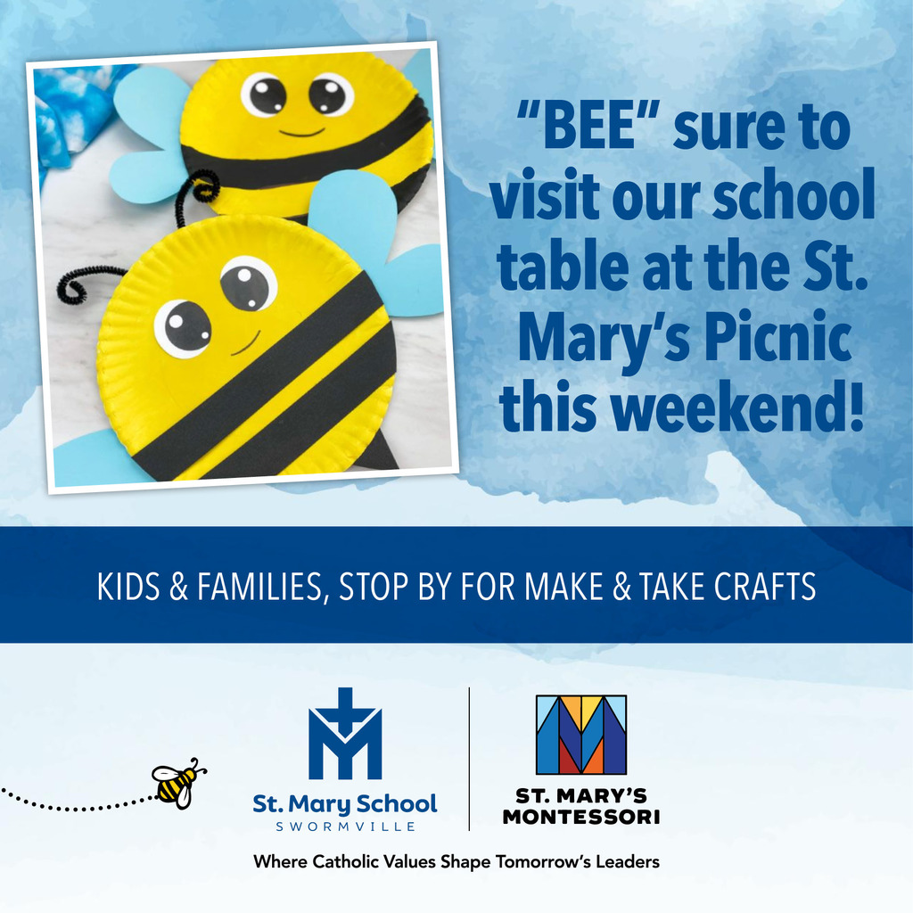 Picnic School Promo