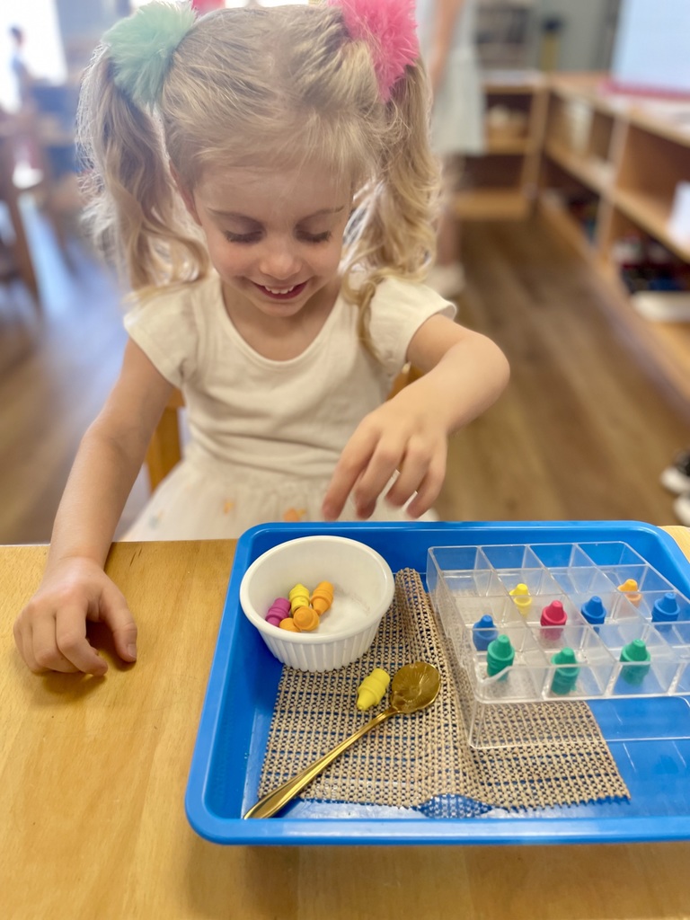 Montessori Summer Adventures - Art Week