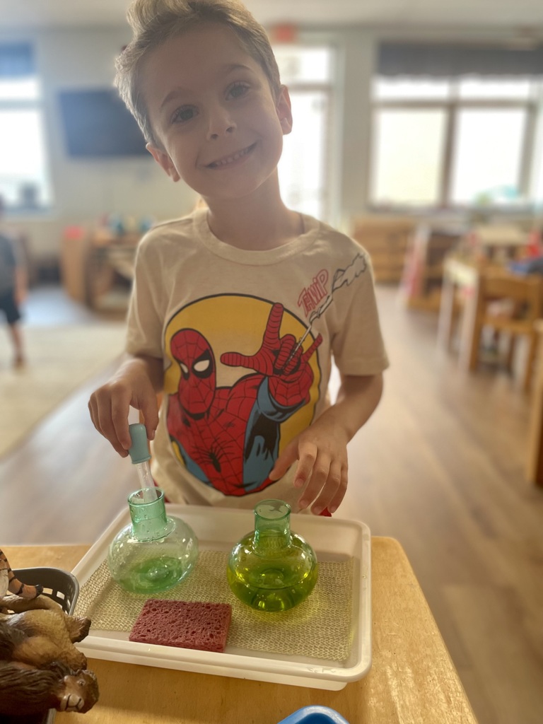 Montessori Summer Adventures: Experiment with Science!