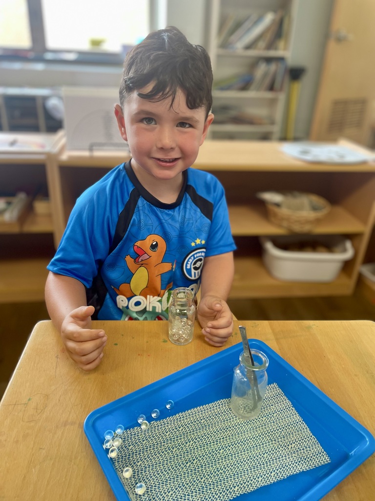 Montessori Summer Adventures: Experiment with Science!