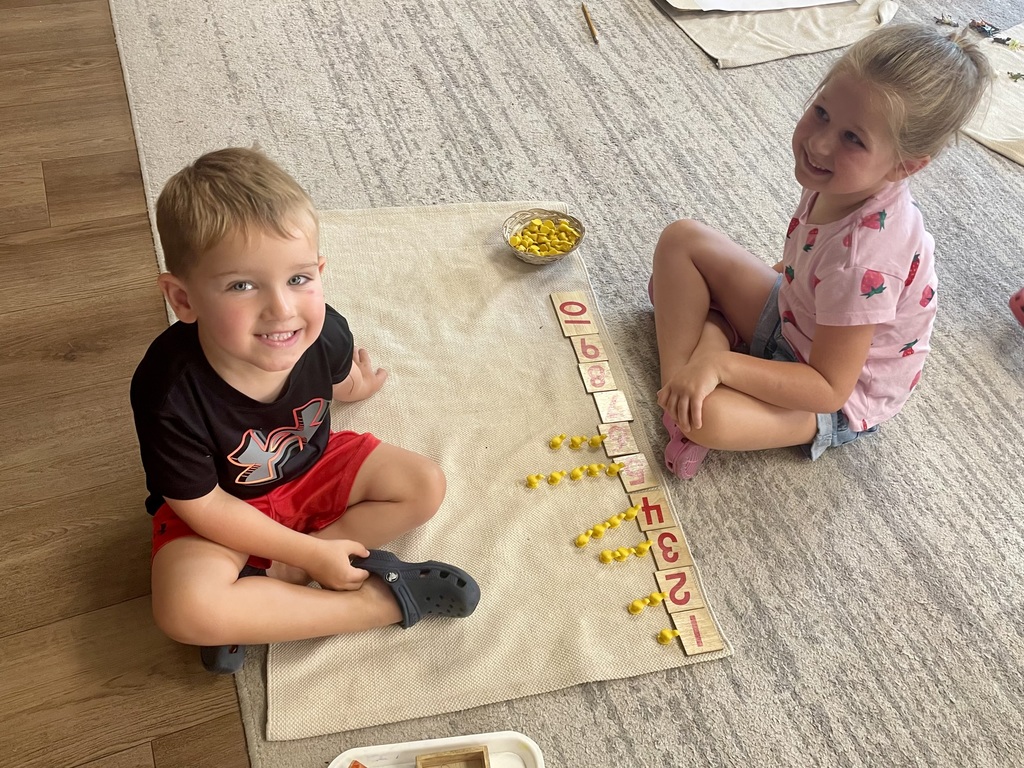 Montessori Summer Adventures: Experiment with Science!