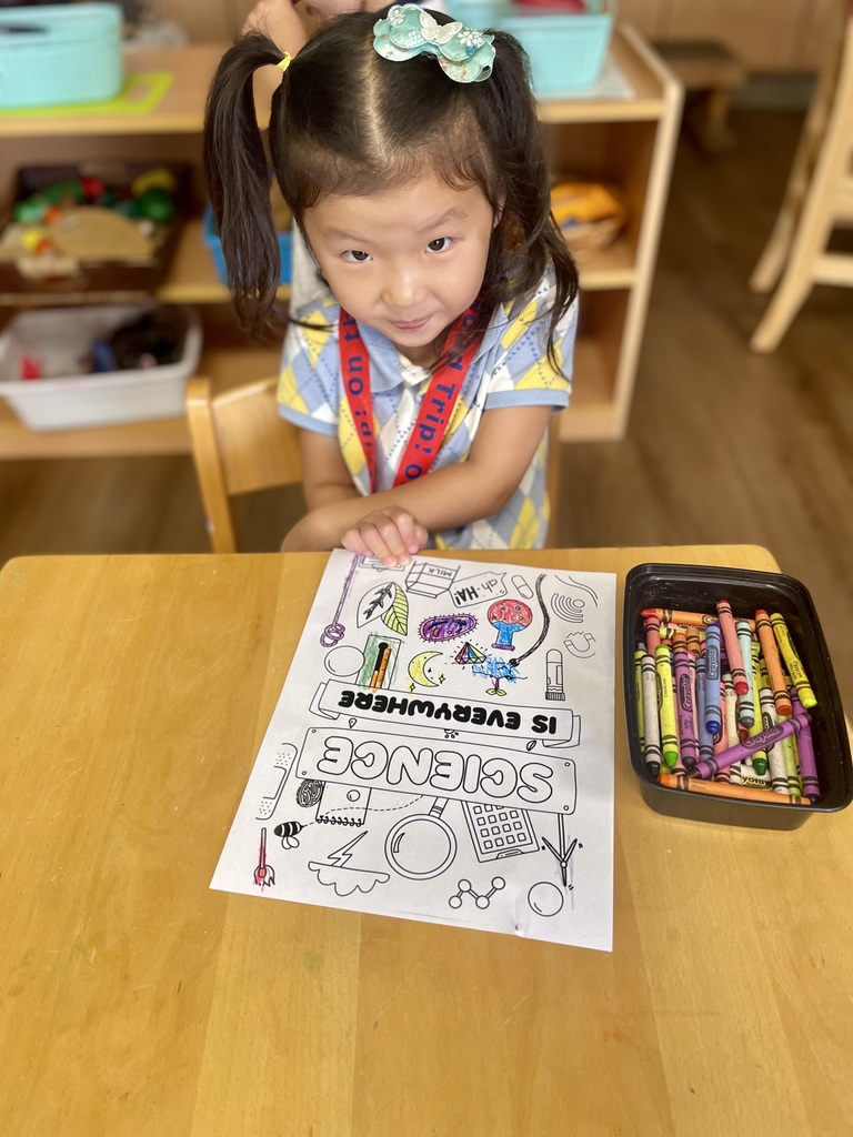 Montessori Summer Adventures: Experiment with Science!