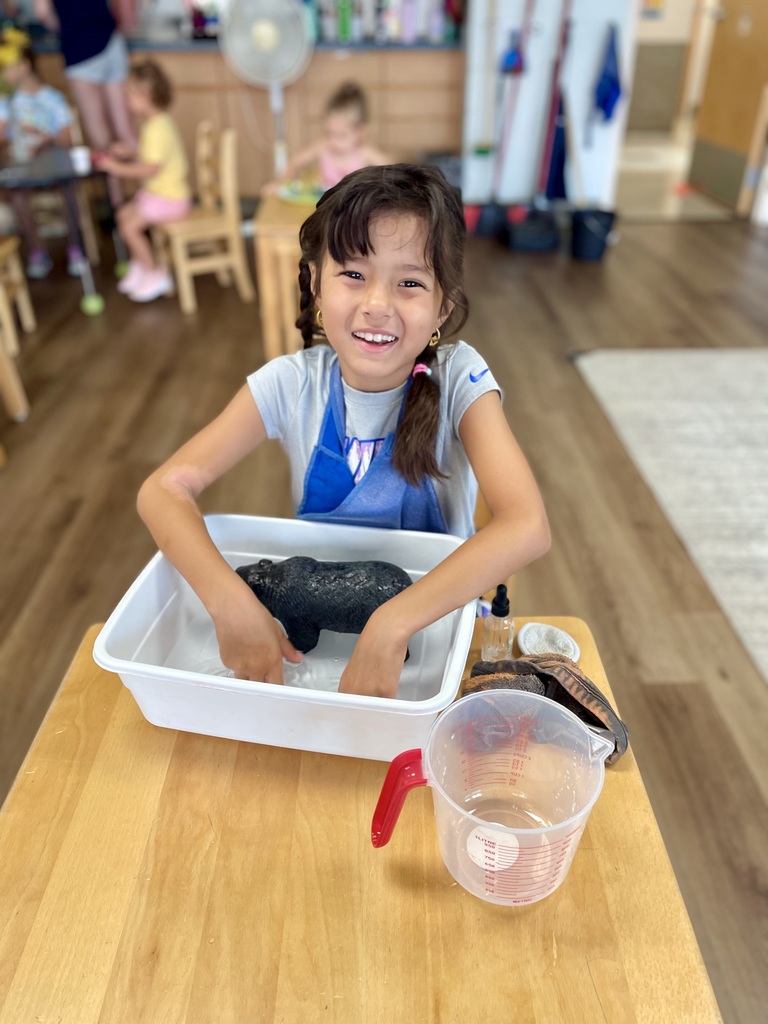 Montessori Summer Adventures: Experiment with Science!