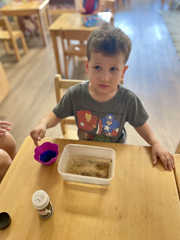 Montessori Summer Adventures: Experiment with Science!
