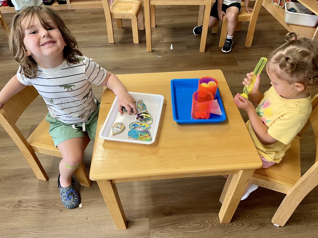 Montessori Summer Adventures: Experiment with Science!