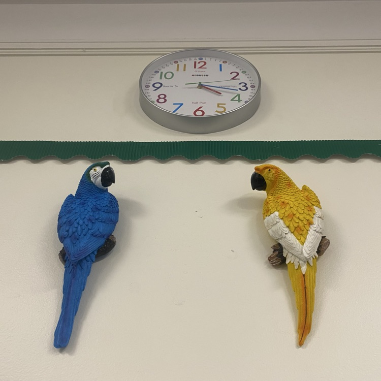 classroom sneak peek 