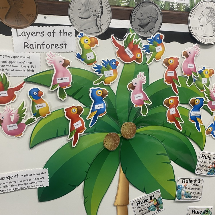 classroom sneak peek 