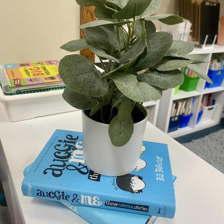 classroom sneak peek