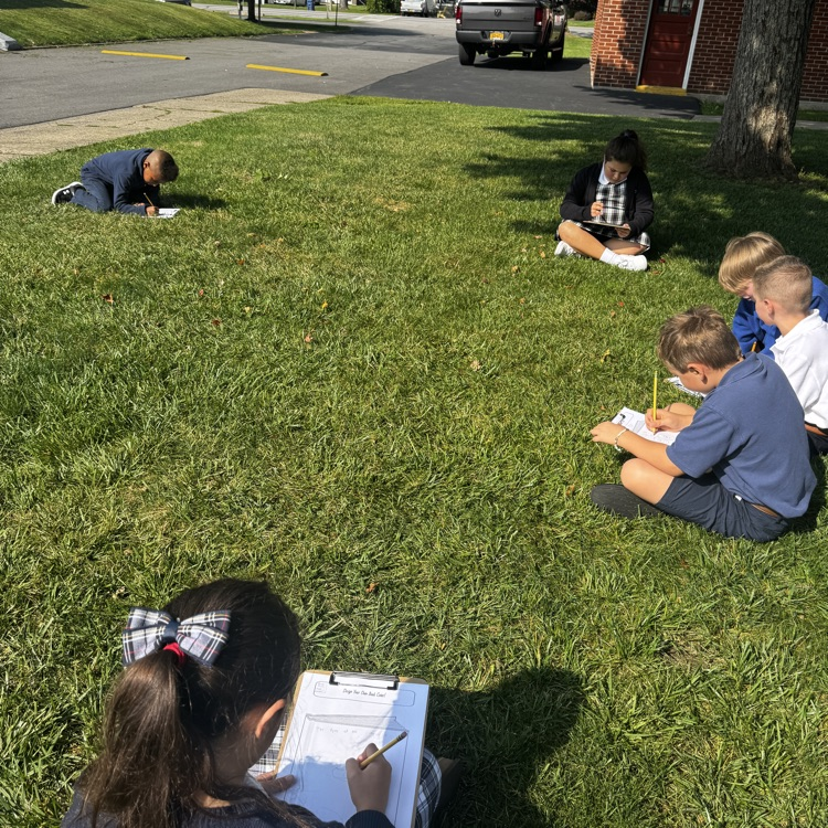 grade 4 novel study
