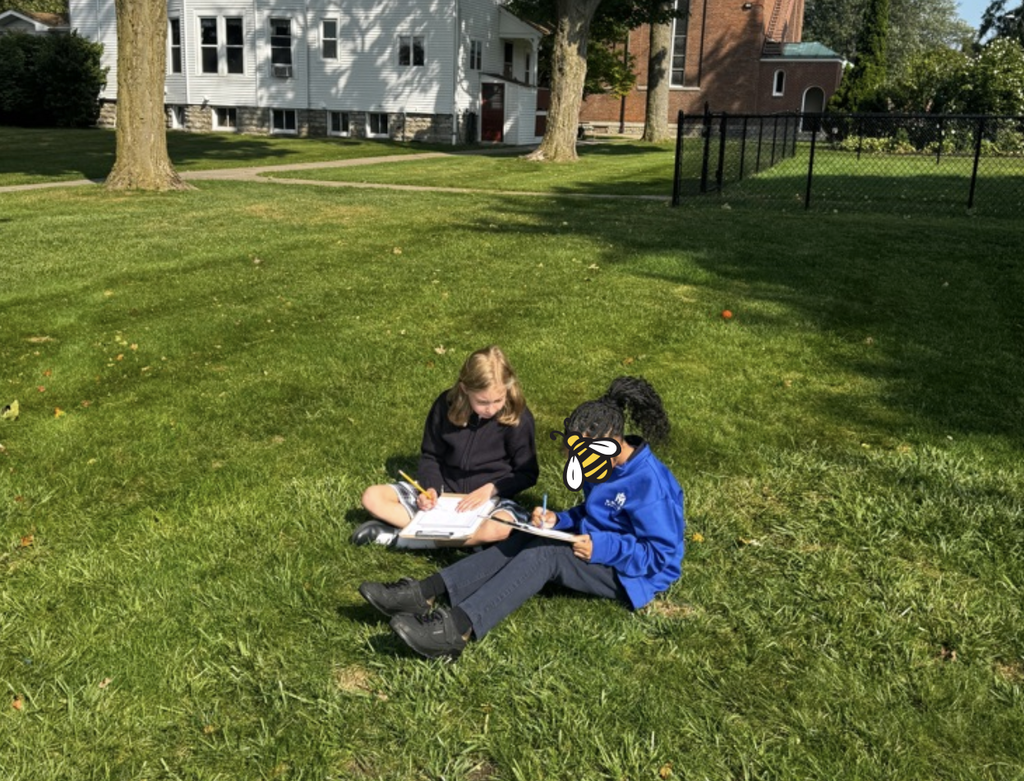 grade 4 novel study