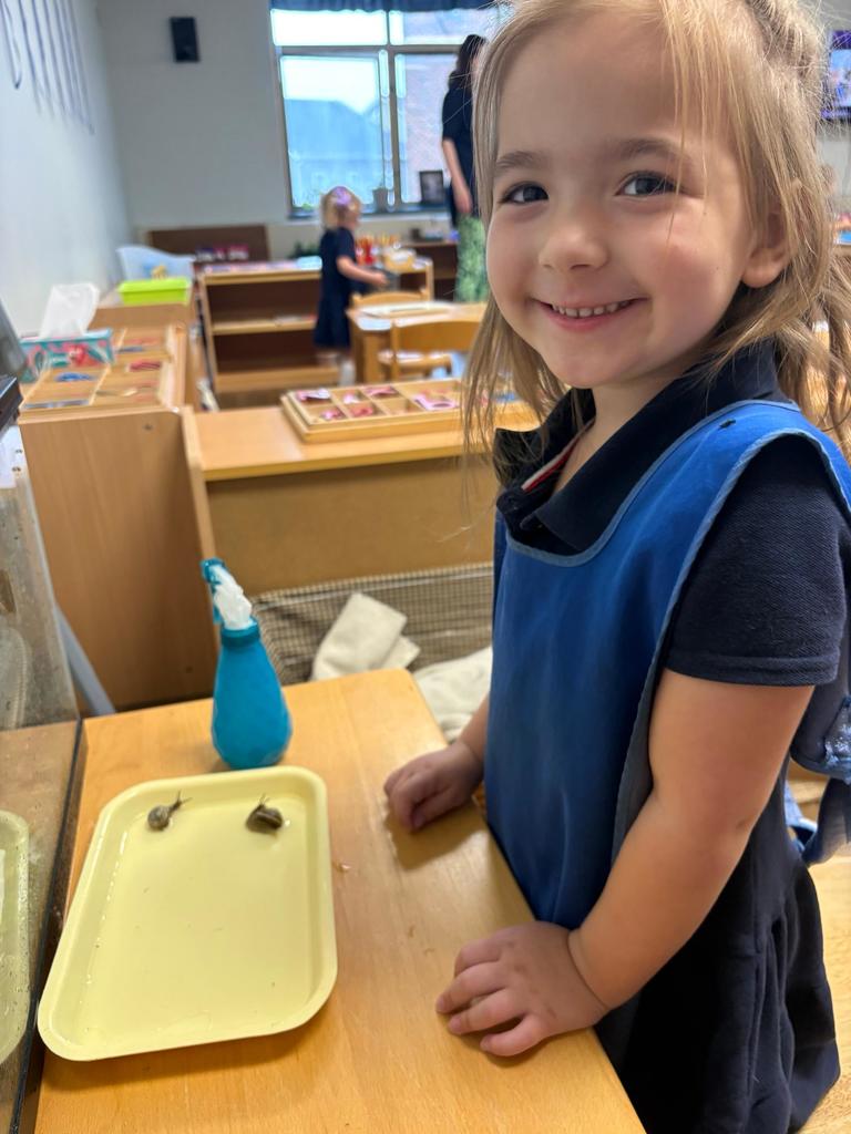 Montessori Pre-K snail work