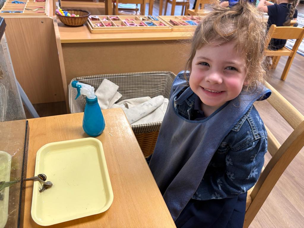 Montessori Pre-K snail work