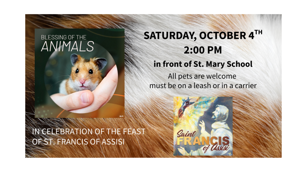 Blessing of the Animals 10/4, 2 PM at St. Mary's with hamster photo and St. Francis of Assisi