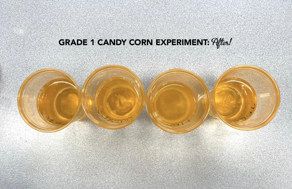 Screenshot 2025-10-27 at 11