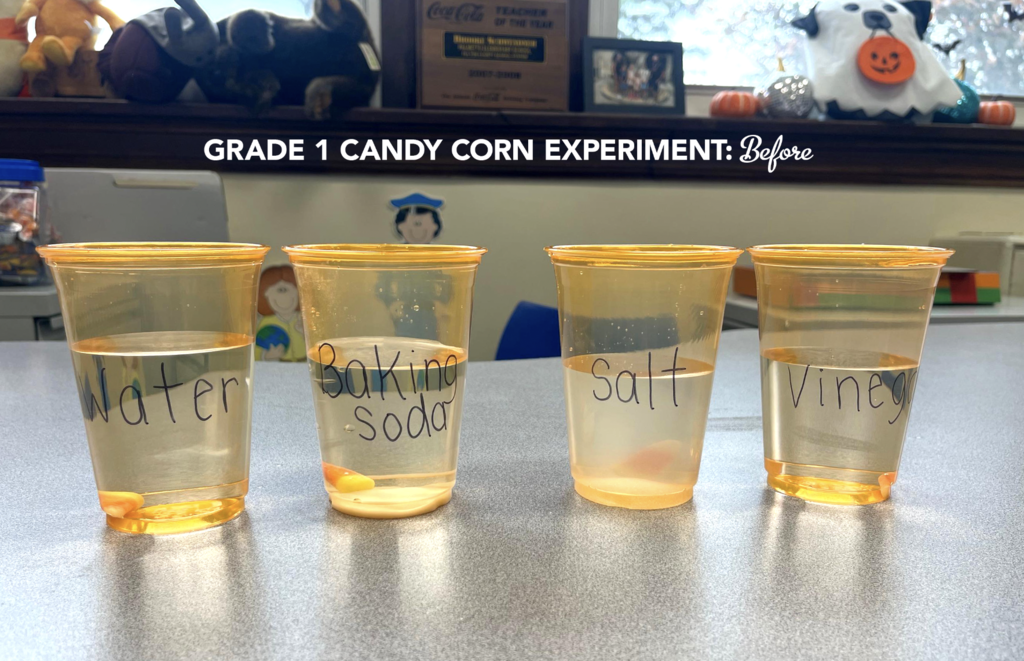 Screenshot 2025-10-27 at 11