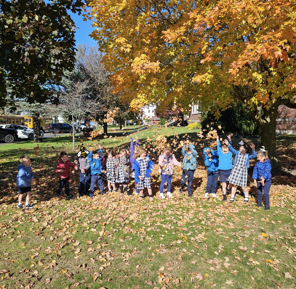 Kindergarten fall fun & pumpkin exploration