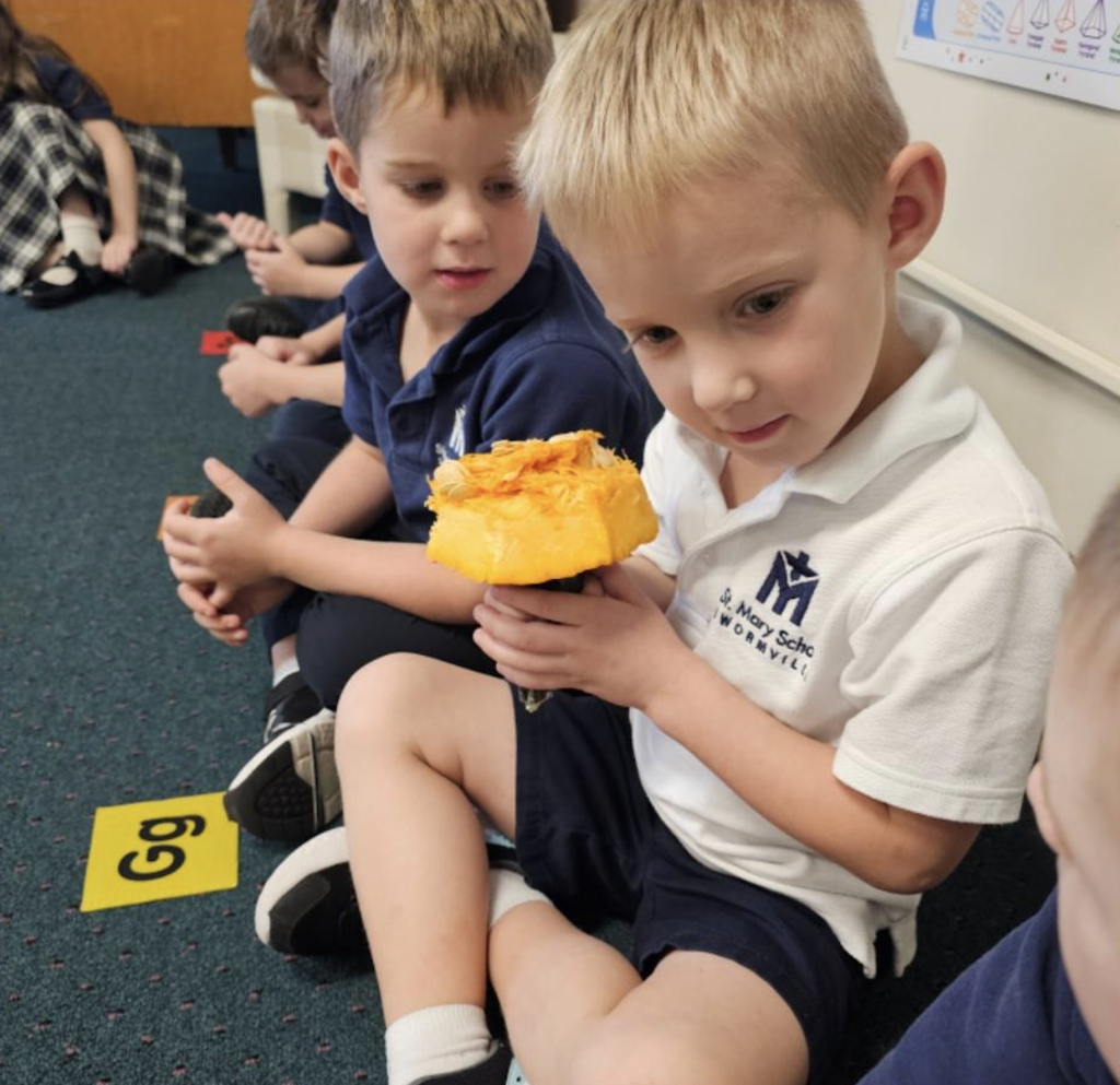 Kindergarten fall fun & pumpkin exploration