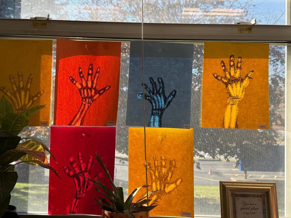 grade 2 skeleton x-ray hand print art
