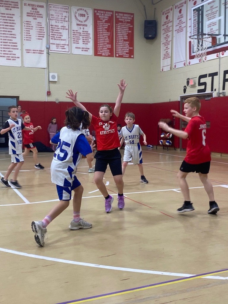 SMS basketball