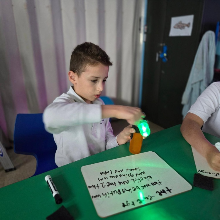 grade 4 science students