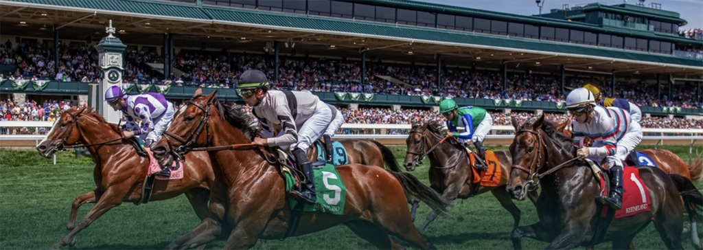 Bourbon Trail Experience