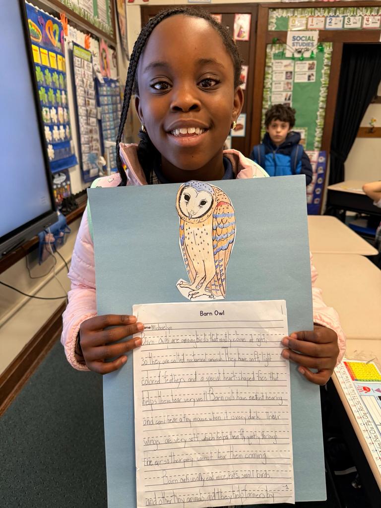 grade 2 animal reports
