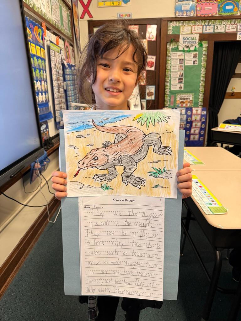 grade 2 animal reports
