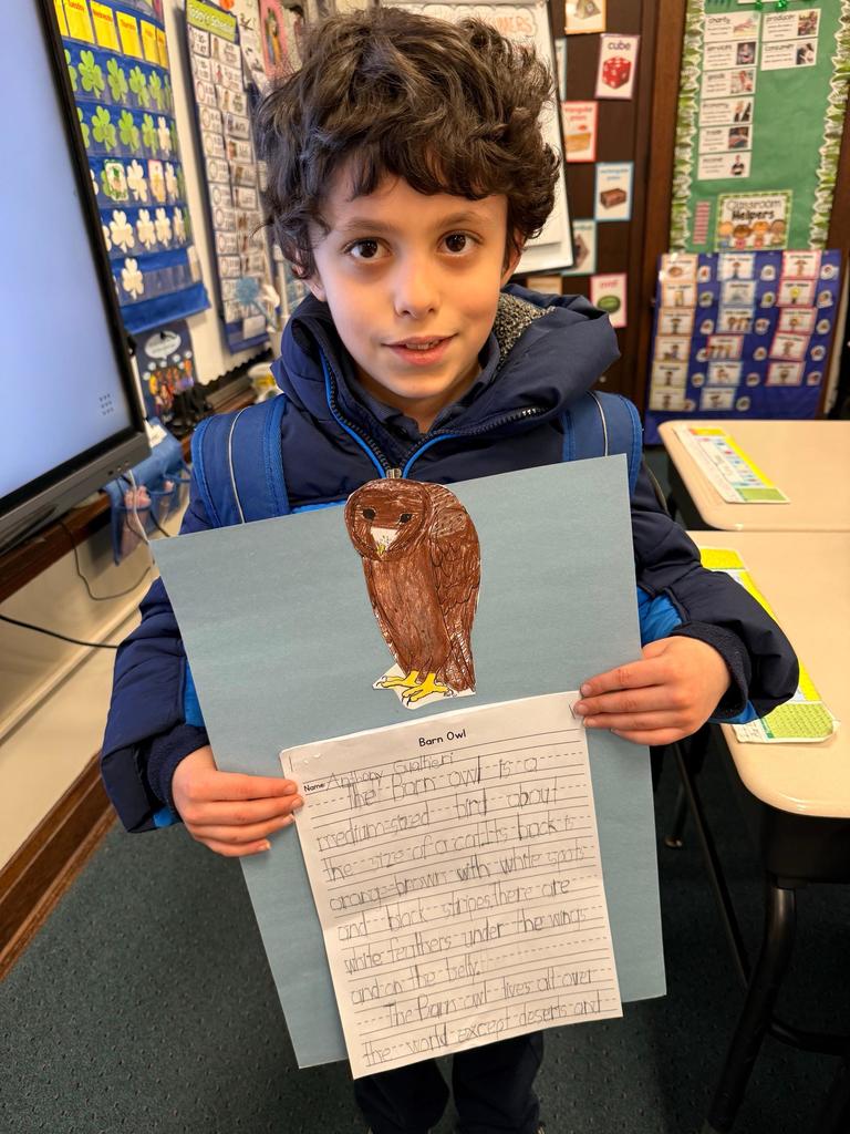 grade 2 animal reports