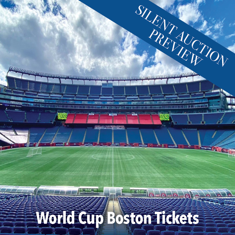 silent auction preview