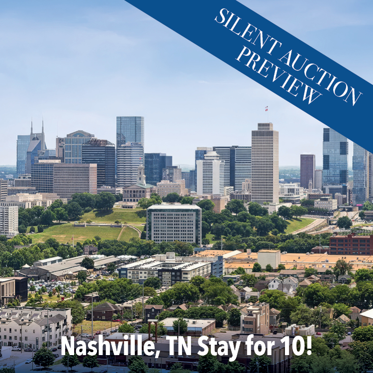 silent auction preview