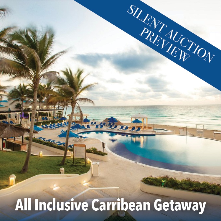 silent auctiuon previews