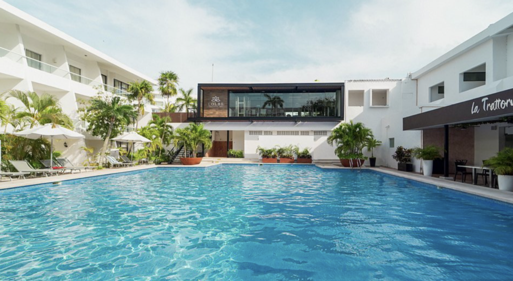 silent auctiuon previews