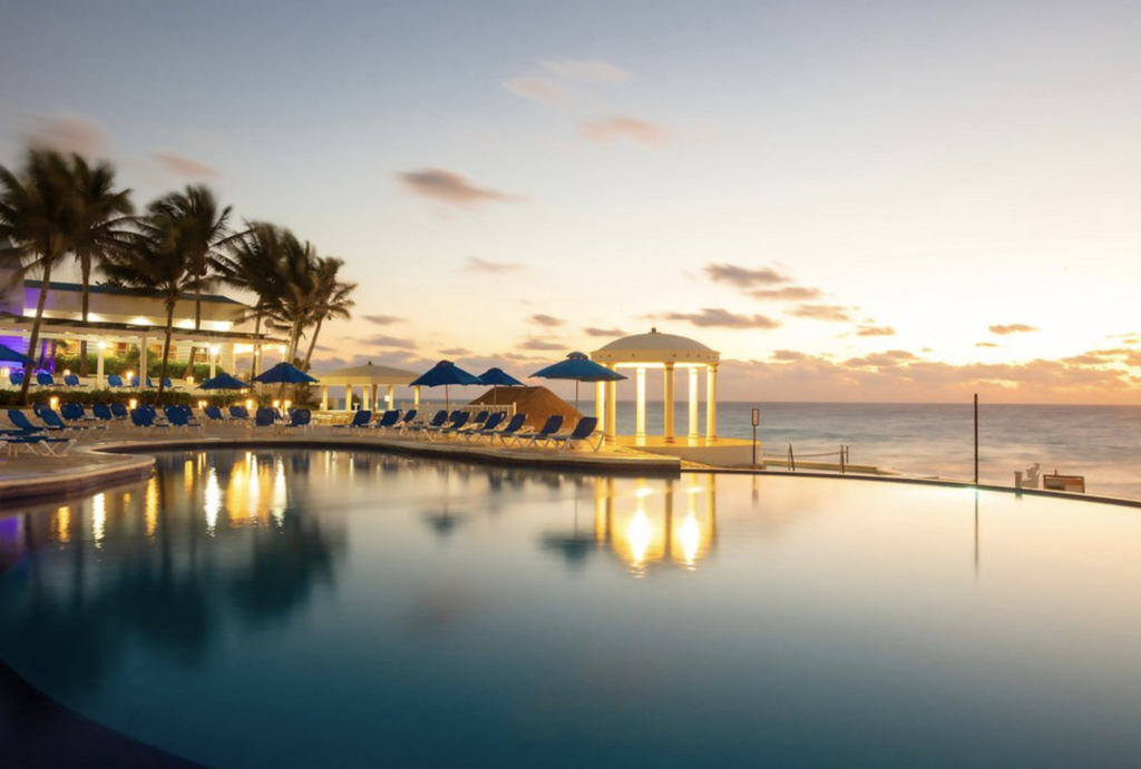 silent auctiuon previews