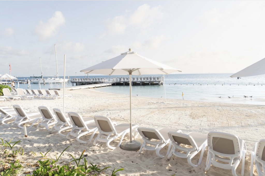 silent auctiuon previews