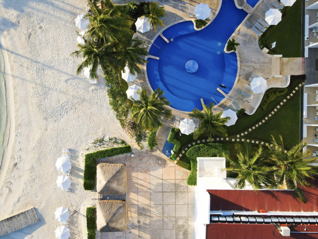 silent auctiuon previews