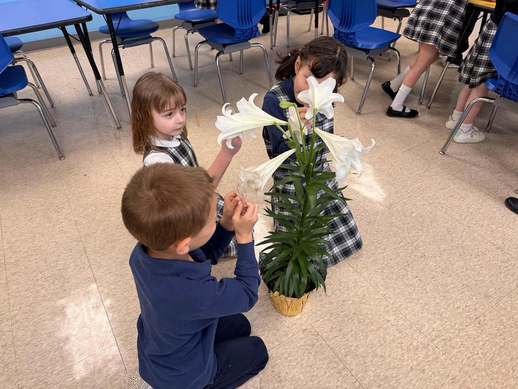 grade 2 students observe the parts of a flower in science class